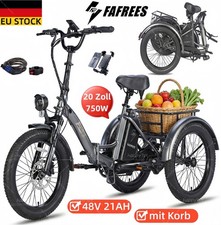 Triciclo elettrico 750W