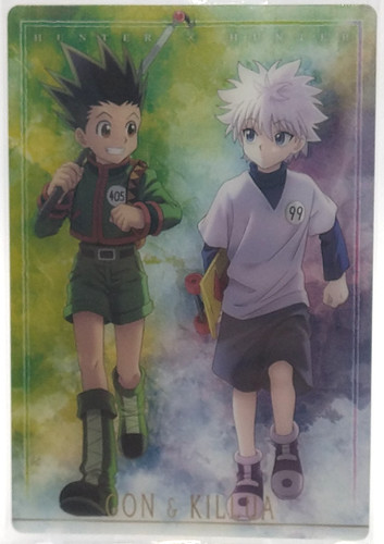 Gon killua hunter - hunter,