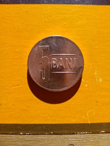 Bani moneta - bani,