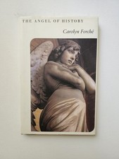 THE ANGEL OF HISTORY by