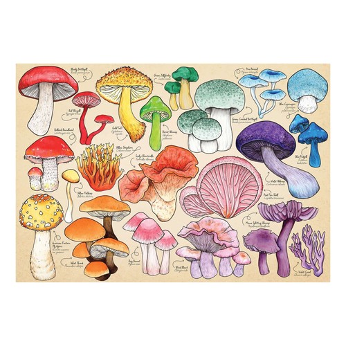 Mania dei funghi - , casa