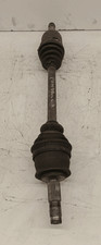 46308260 Semialbero ant