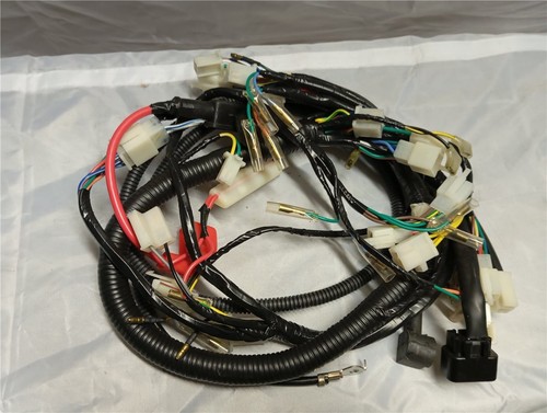 Cablaggio sachs sfm - cablaggio,