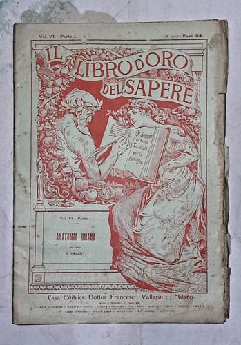 Libro oro del - libro,