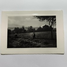 Orvieto 1951 Due contadini in