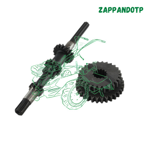 Albero asse 1ario - asse, ingr