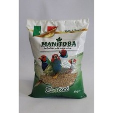MANGIME MANITOBA  UCCELLI