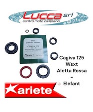 10898 Serie Paraoli Motore