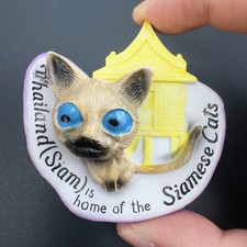 Calamita frigo resina souvenir