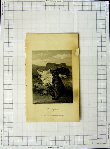 Antica stampa originale 1870