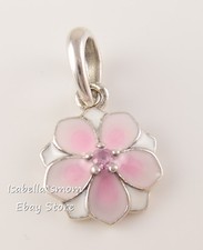 Magnolia Bloom Autentico