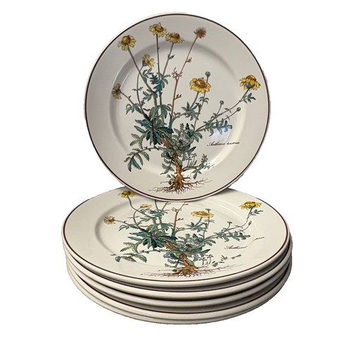 Villeroy boch botanica - villeroy,