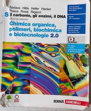 Il Carbonio, Gli Enzimi, Il