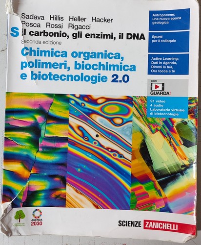 Carbonio gli enzimi il - gli,
