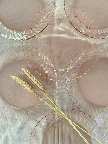 Lot assiettes plates - lot, 6
