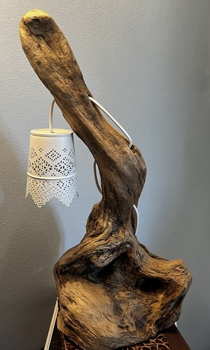 Lampada driftwood fatta - driftwood, a