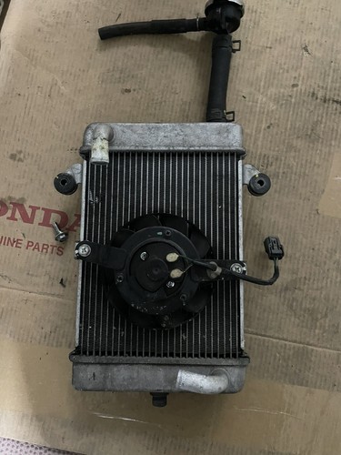Radiatore 300 2018 - sh,