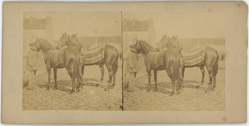 Stereo 1860 vita di - 1860-70,
