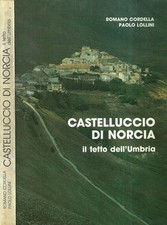 Castelluccio norcia il - castelluccio,