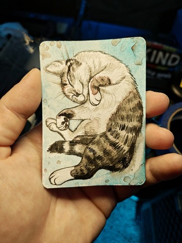 Cat aceo fuzzy - warm, acquerello