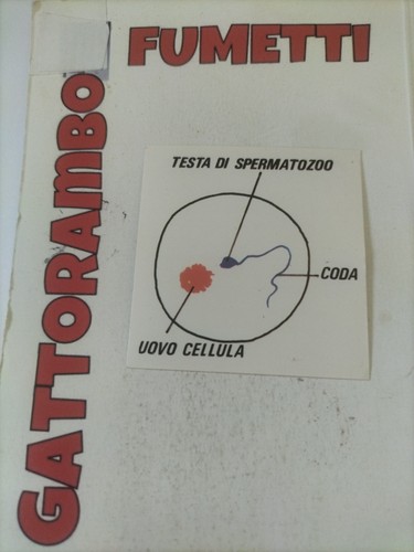 Figurine didattiche conoscere - didattiche,