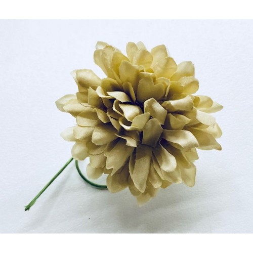 Dalia piccola colore - 5, cm