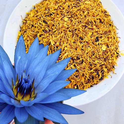 Blue lotus flower - lotus, stamens