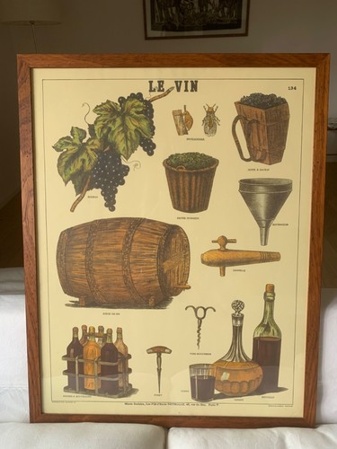Quadro vin raffigurante - quadro, vin",