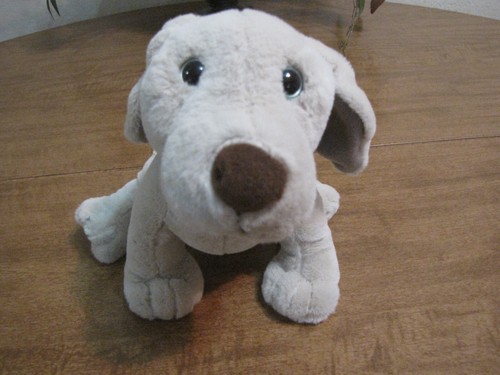 Tutto webkinz weimaraner - tutto,