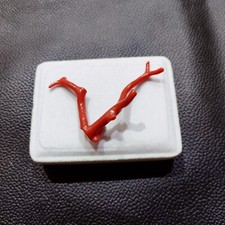 Corallo rosso lucido grezzo