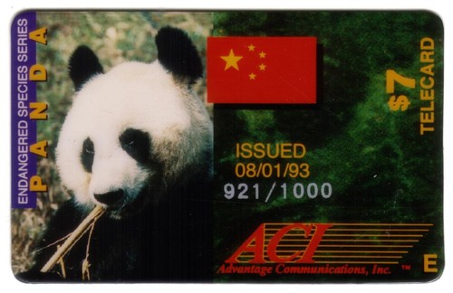 Panda gigante endangered - panda,