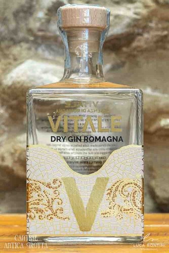 Dry gin emilia romagna cl - dry,