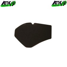 Filtro Aria in Spugna per