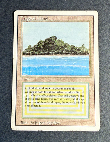 Wizards the coast tropical - the,
