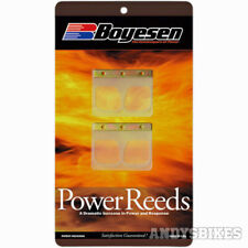 Canne da corsa Boyesen Power Race Aprilia RS125 RX125 SX125 MX125 Rotax 122 123