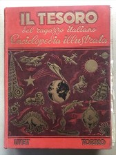 Tesoro del ragazzo - il,