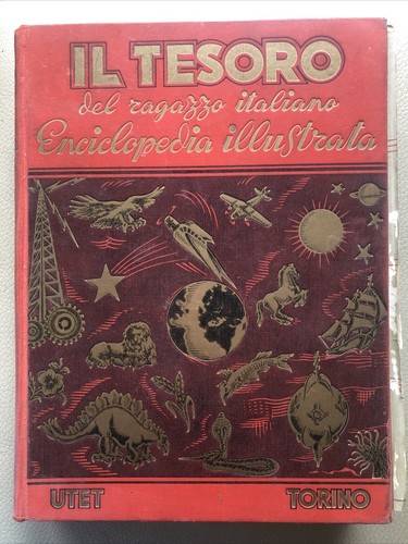 Tesoro del ragazzo italiano - il,