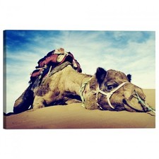 Quadro Stampa su Tela con