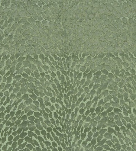 Stampa animalier palma peluche - stampa,