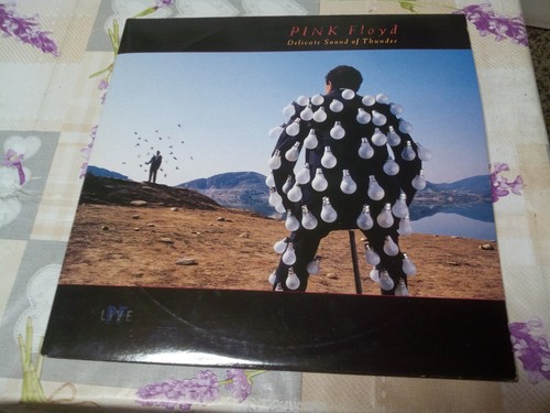 Pink floyd delicate - floyd, of