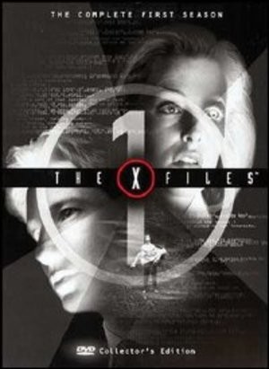 The files noleggio - files,