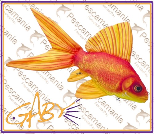 Cuscino goldfish pesce - pesce, rosso