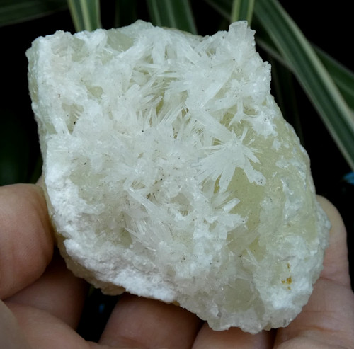 Rare aragonite aciculaire sur - rare,