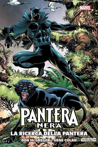 Pantera nera ricerca - pantera, della