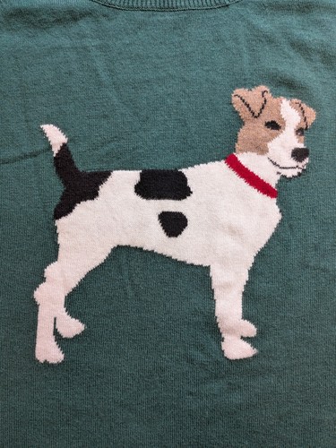 Maglione cane jack russell - maglione,