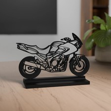 Yamaha TDM 900 Modello