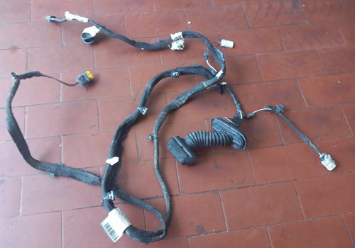 Cablaggio porta anteriore - porta, dx