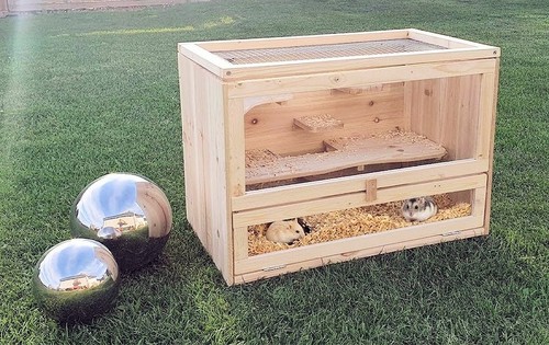 Gabbia per roditori pauli - roditori, xl