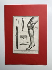 Tavola anatomia incisione - tavola, di