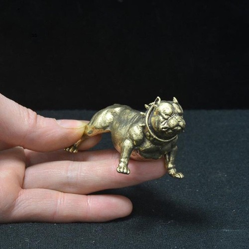 Statua bulldog ottone - statua, puro